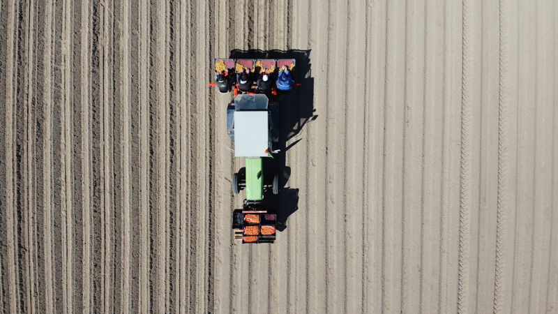 Tracteur dans un champ