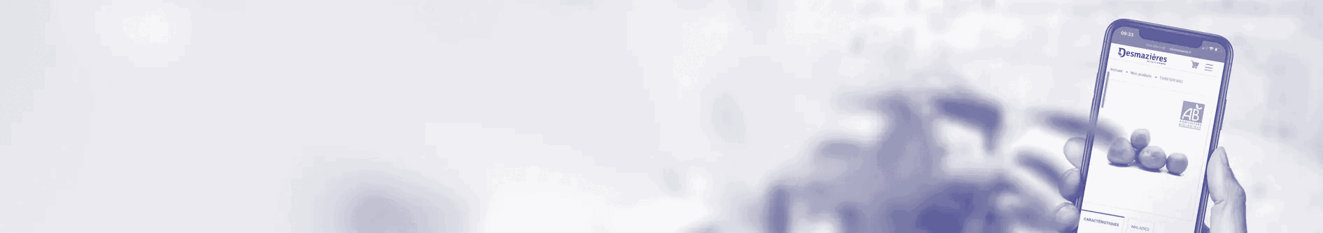 Bandeau Site Bichro New