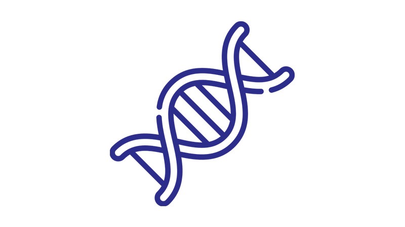 Icone ADN