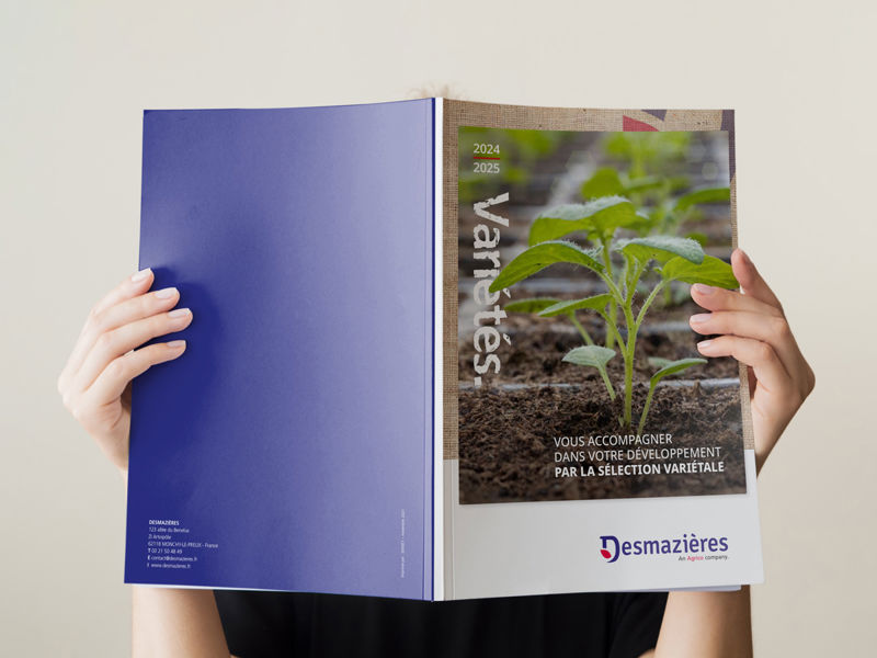 Catalogue - Desmazières